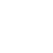 ins1